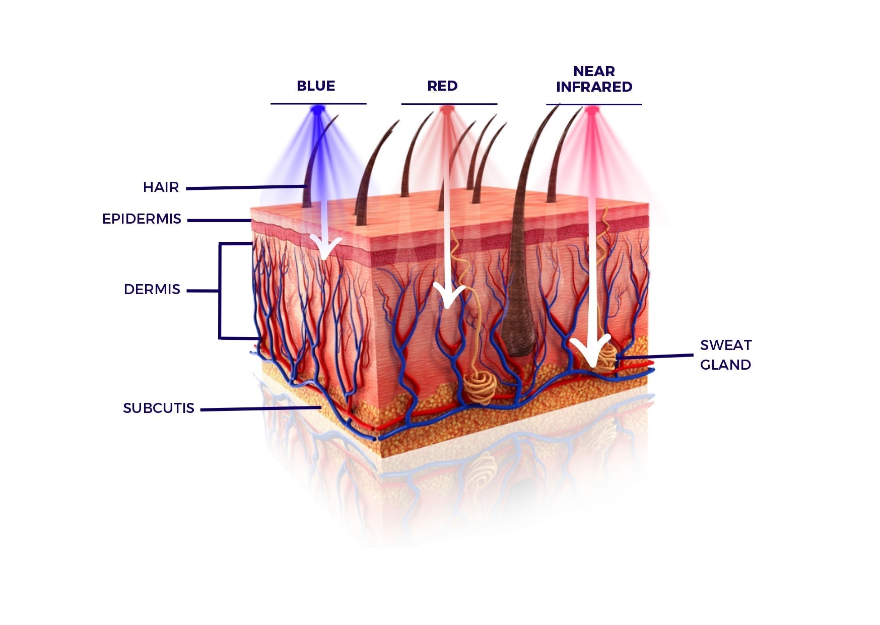 Lustre products