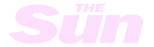 The Sun